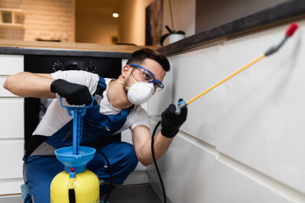 Best Wasp Removal Services  in Sonora, CA