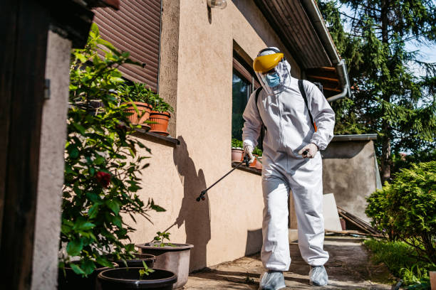 Best Flea Control Services  in Sonora, CA