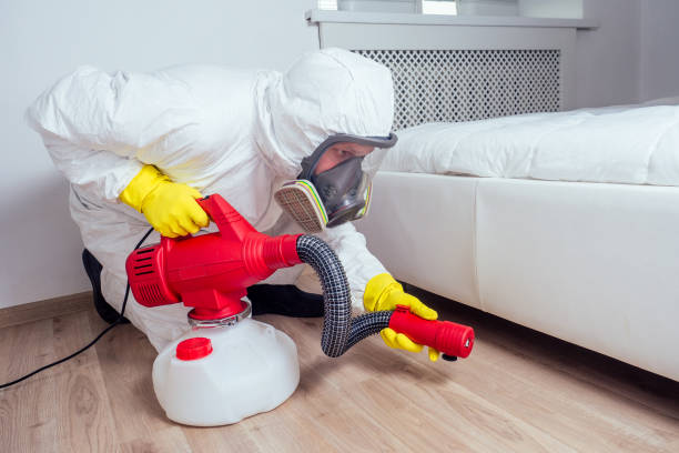 Flea Control Services in Sonora, CA