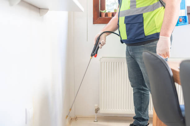 Reliable Sonora, CA Pest Control Solutions