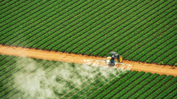 Best Termite Control Services  in Sonora, CA