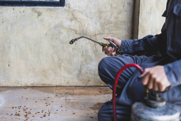 Best Pest Removal Services  in Sonora, CA